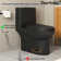 Ally Dual-Flush Elongated One-Piece Toilet with Glazed Surface Modern Toilet with Comfort Seat Height  (Seat Included)