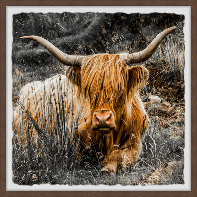 Shaggy Hair - Single Picture Frame Print