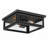 Matte Black 2 - Bulb Outdoor Flush Mount