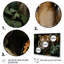 Feline Focus Tigers In Jungle 2 - Art mural jungle-1335807724-1335807725