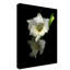 «Gladiola 4» par Dosta, impression sur toile tendue-29224863