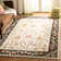 Kapur Hand Hooked Performance Oriental Rug