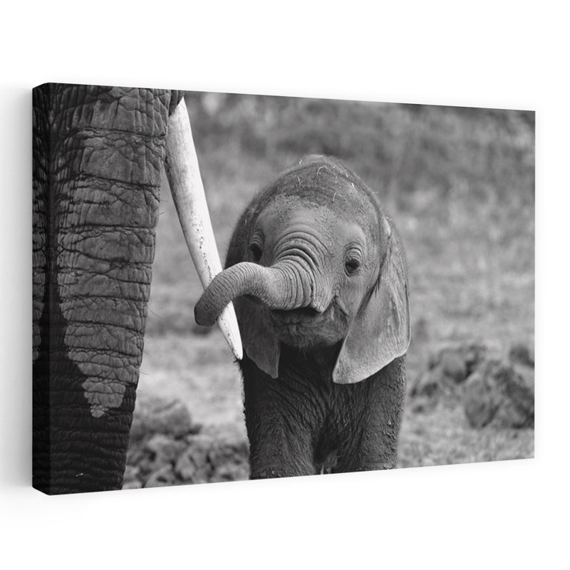 Art contemporain, éléphant, art contemporain, H 16 po x l 24 po