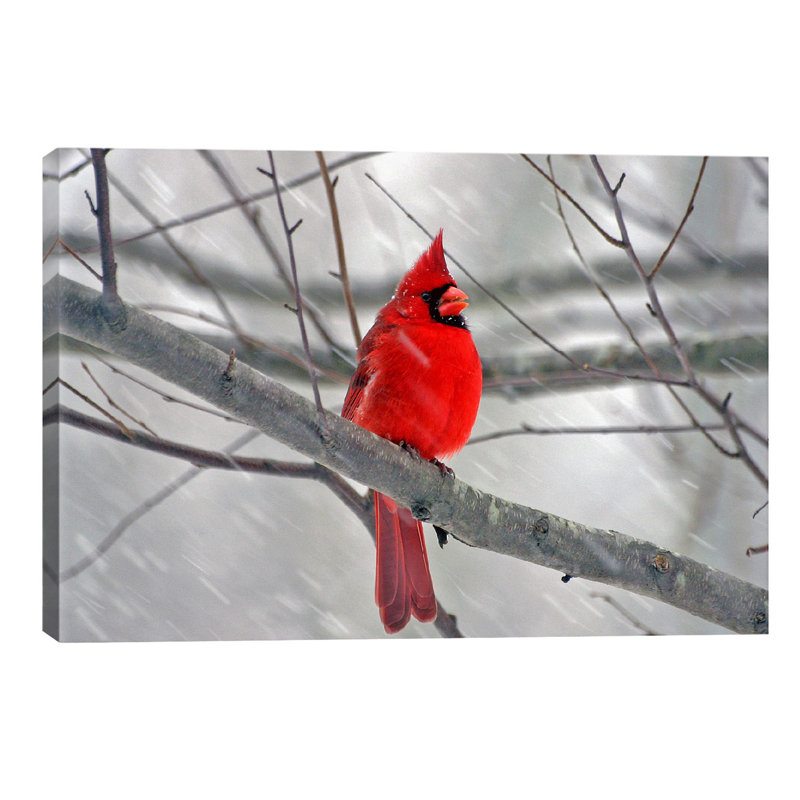 Wrapped Canvas Print, 20.32 cm H x 30.48 cm W