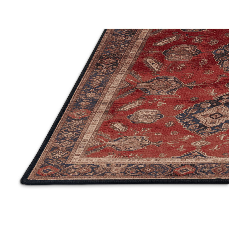 Machine Washable Persian Black Area Rug, Rectangle 2' x 3'