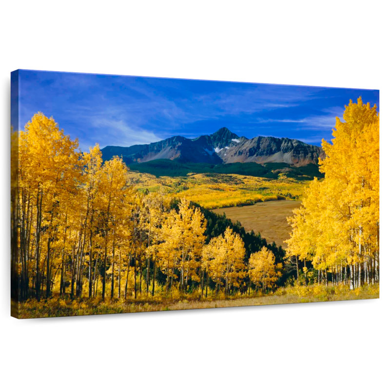 Alvord Autumnal Aspen Trees, 20" H x 30" W
