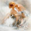« désir », impression sur toile-29084200-72794165-72794166