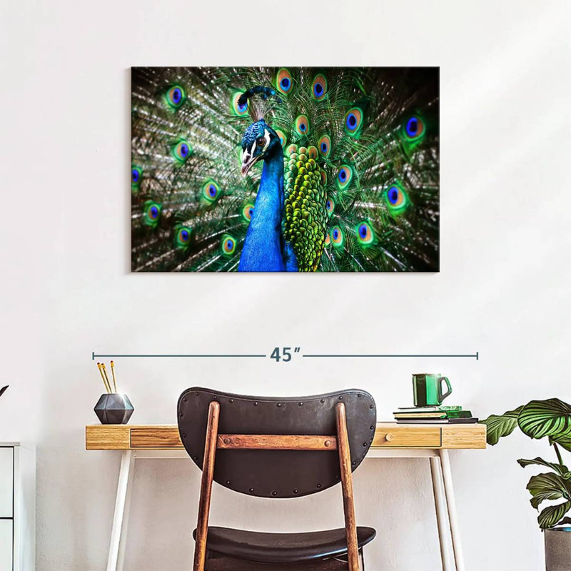 Brampt Peacock Show, 24" H x 36" W