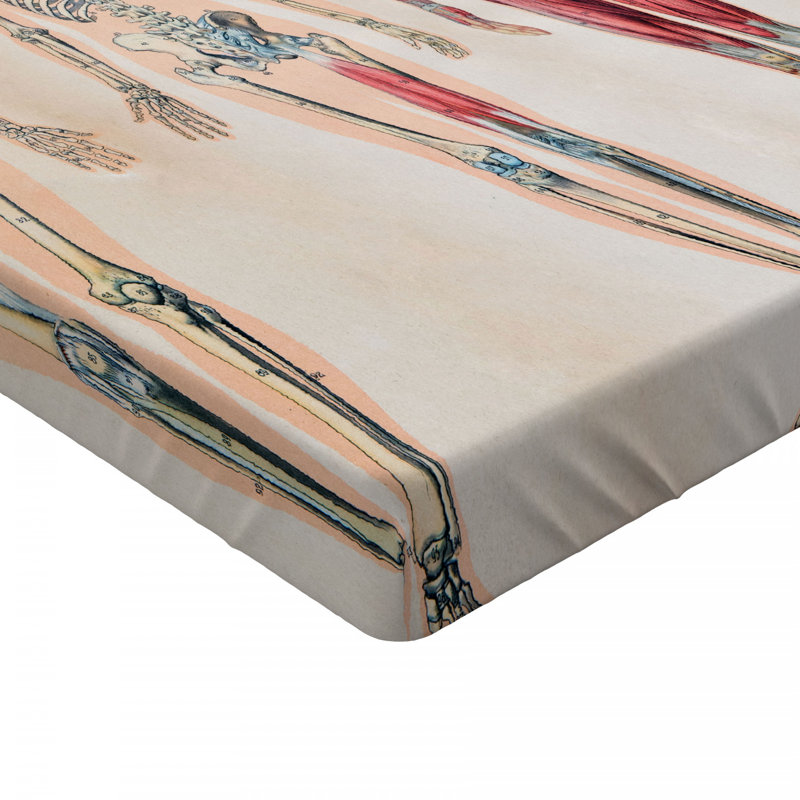 Microfiber Fitted Sheet, Full Fitted Sheet