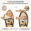  Grattoir en forme de planche de surf pour chat Palm Beach