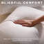 Snuggledown Scandinavian Hollowfibre Medium Support Back Sleeper Pillow (Pack of 4)