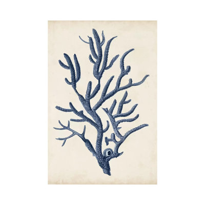 Indigo Coral IV by Vision Studio - Wrapped Canvas Print