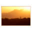 Saguaro National Park, Arizona Print by PhotoDF-660625291