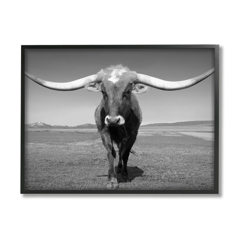 Longhorn en campagne par Steve Toole, L 20 po x H 16 po, Giclée encadrée noir minuit