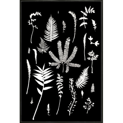 Botanical Collage 3 Print