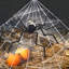Kit de décoration d'Halloween araignée noire - Araignée noire + toile blanche triangulaire (5M) + petite araignée (20) + coton (40G)-1076733729