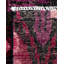 Contemporary One-of-a-Kind Rectangle 4' X 6' Hand Knotted Area Rug