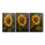 FLORAL Series CDXCIV  -Custom Wrapped Gallery Canvas - 3 Pieces-1485337051