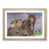 Oak Framed selected