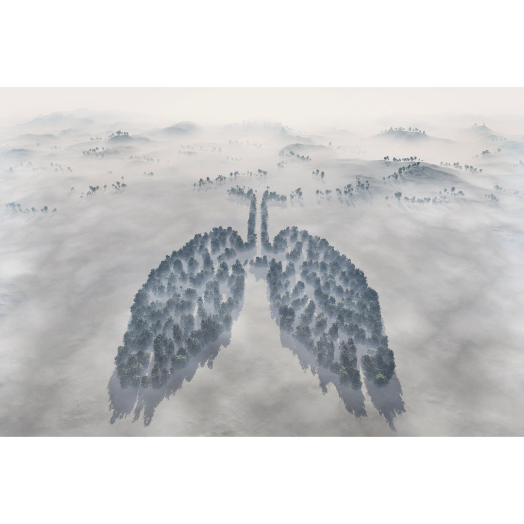 Lungs Of The Planet von Leonardc - Leinwandbild