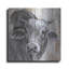 «Eyes Wide Open» par Diane Fifer-1115017857