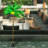 Palm Tree With Glowing Coconuts, Dimmable 400 LED Lights,...
