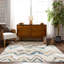 Rodeo Chevron Synthetic Area Rug-49891967