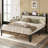 Upholstered Metal Bookcase Storage Bed-246066621