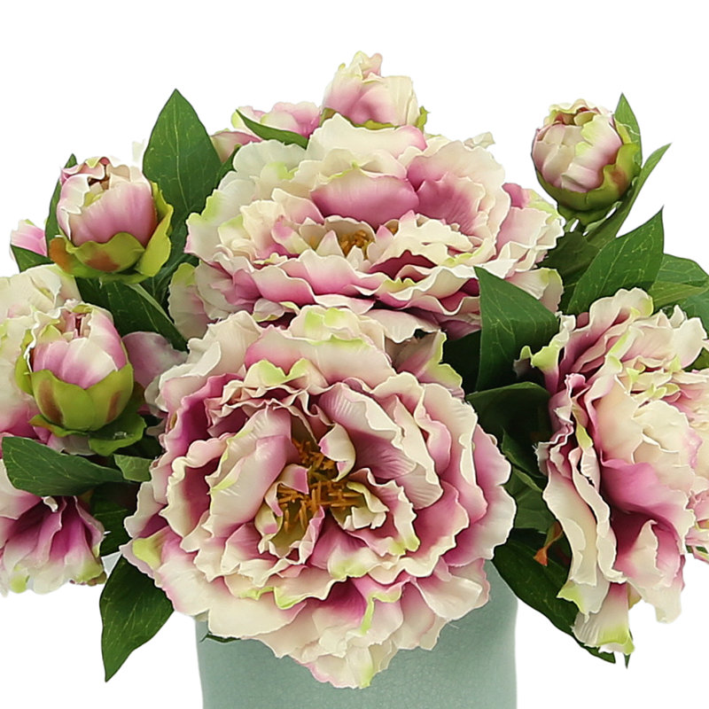 Arrangement de pivoines en pot