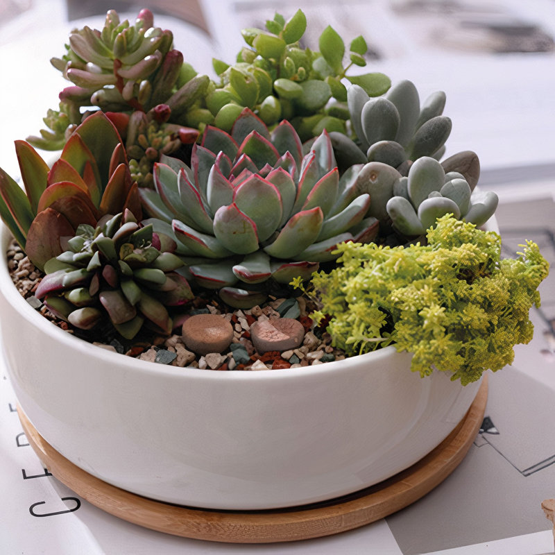 Sarah-Jane Pot Planter