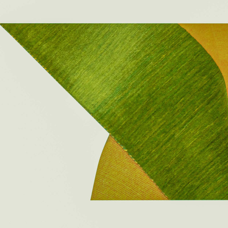 Gabbeh Wool Area Rug