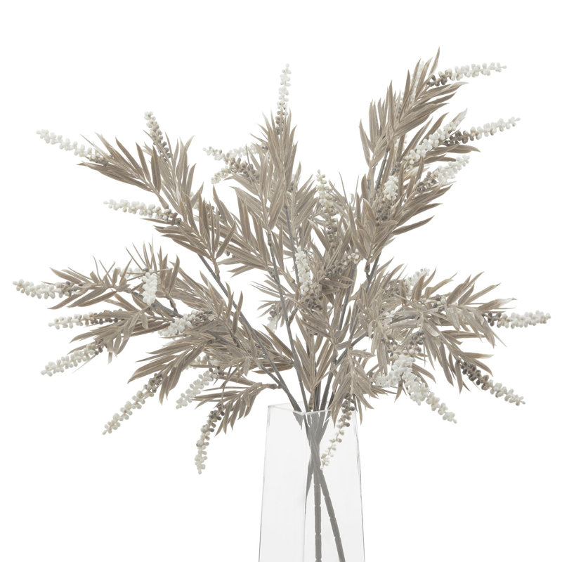 Anastasija Arrangement