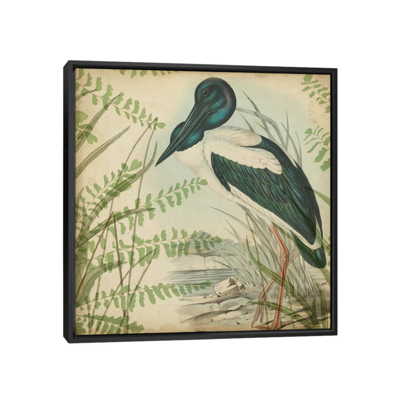 « héron & ferns i », reproduction sur toile, H 18 po x l 18 po x P 1,5 po, Toile avec cadre noir, Pas de tapis
