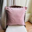 Reisman Square Throw Cushion-45568926