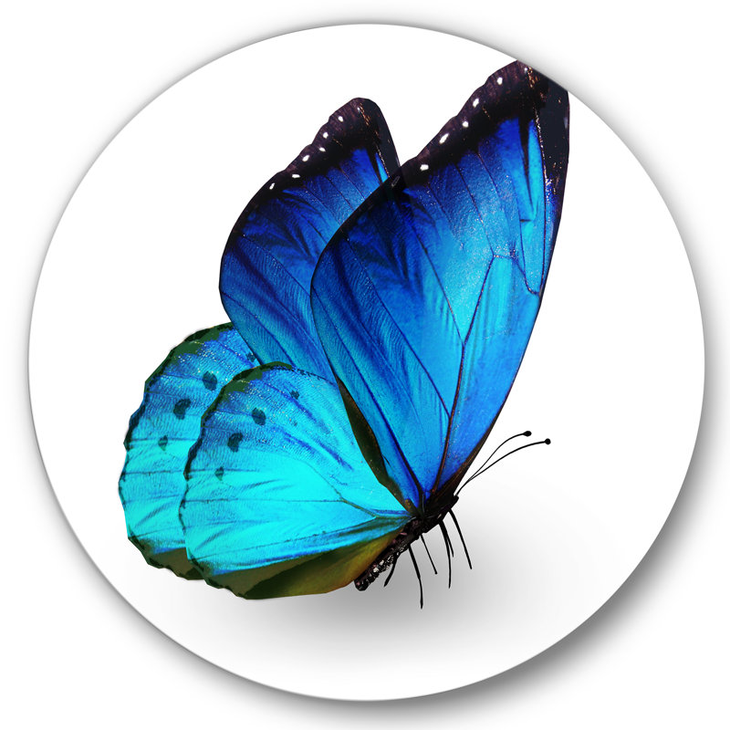 " Vibrant Blue Butterfly " Painting Print, 23" H x 23" W x 1" D