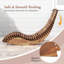 Chaise longue d'extérieur Ashaad
