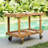 Hetherington Teak Wood Outdoor Bar Cart