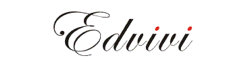 Edvivi logo