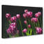 Pink Tulip Flowers - Wrapped Canvas Print-61838563
