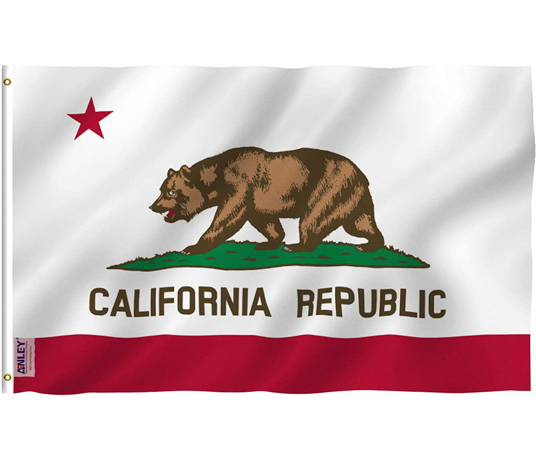 American US State Flag Polyester 36 x 60 in. House Flag ANLEY US 