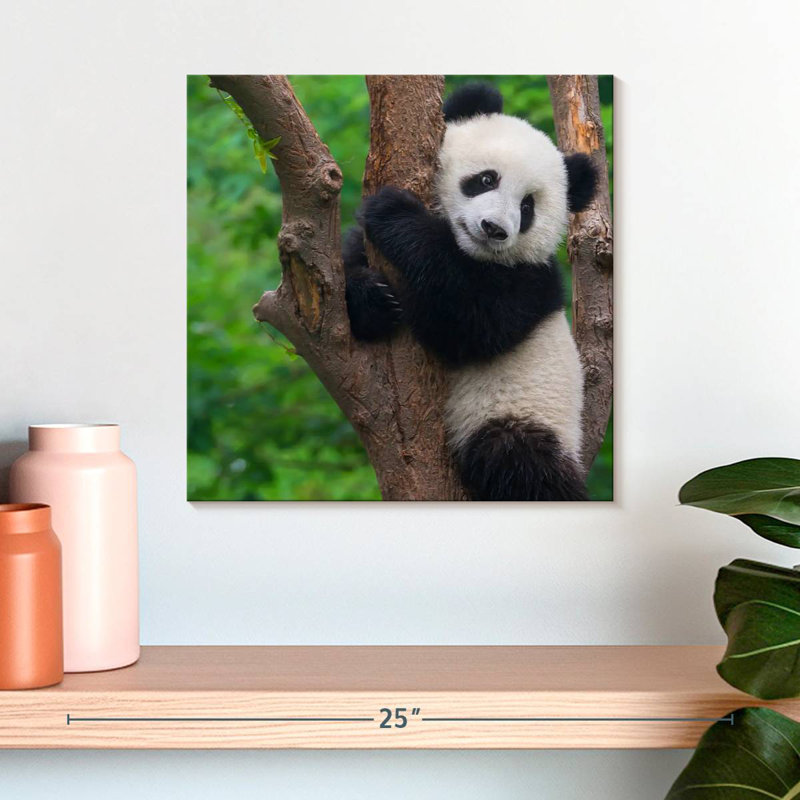 Brampt Adorable Panda, 16" H x 16" W