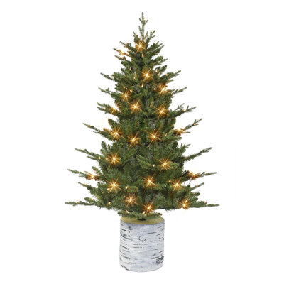 54' Lighted Pine Christmas Tree