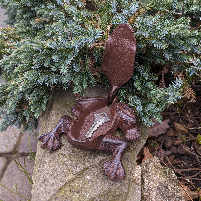 Boîte de rangement en métal pour grenouille en métal