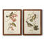 Oiseau de riz Wandering - ensemble de 2 reproductions d'art sur toiles-237908211-237908215