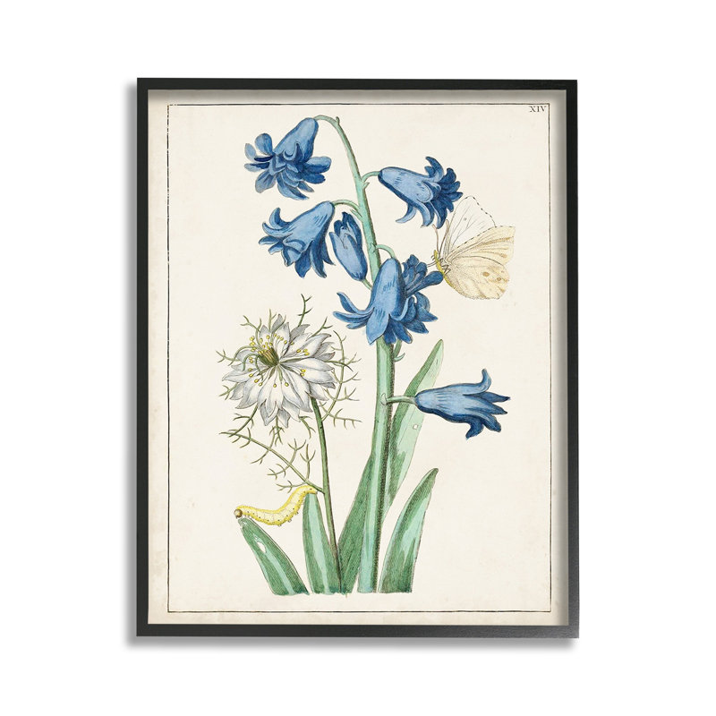 NatureAmpoule avec papillon, Giclée encadrée noir minuit, H 14 po x l 11 po