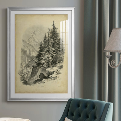 " The Larch "