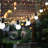 Aubreelynn Outdoor 10 - Bulb 120'' Plug-in String Light