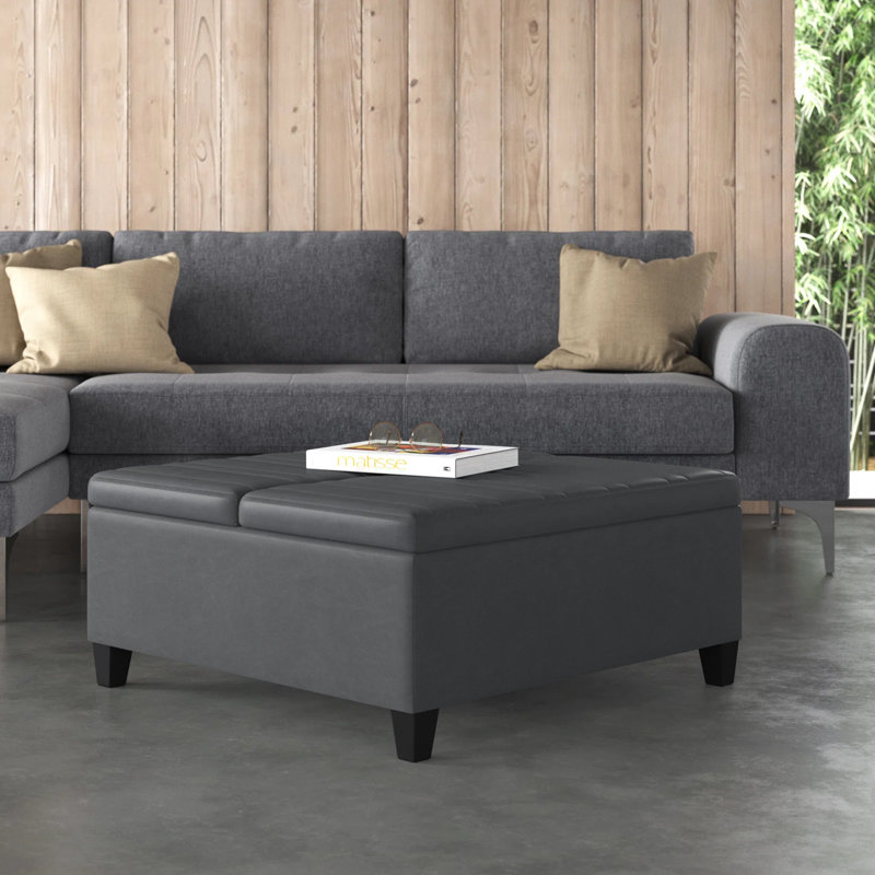 Repose-pieds de rangement pour table basse Ellis, Similicuir gris pierre