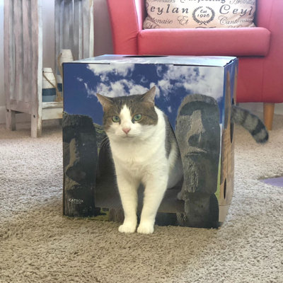Conchetta 14'' H Cat Tree