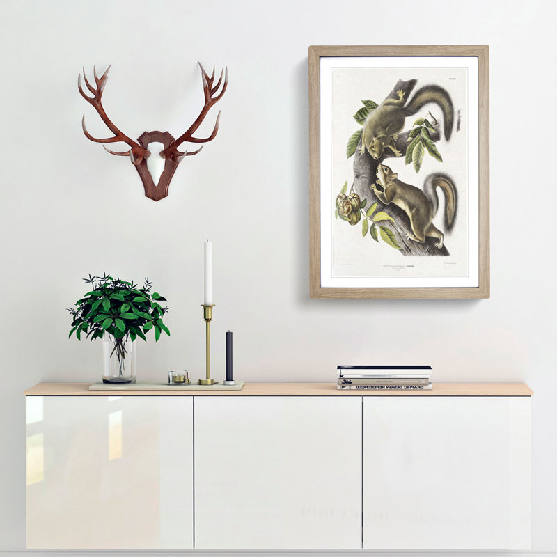 Hare Squirrels by J.W. Audubon - Picture Frame Painting Print, Oak Framed, 48cm H x 36cm W x 2cm D